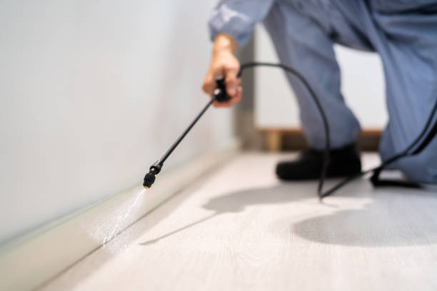 Licensed Pest Control service in Shasta, CA - Show Me Pest Control